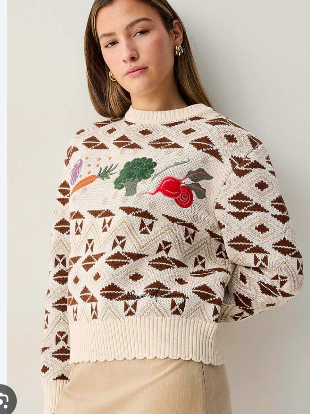 House of Sunny Cream & Brown Geometric Knit Sweater with Veggie Motifs